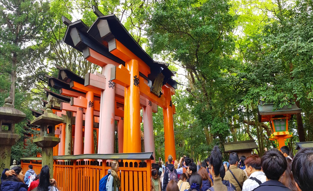 Đền Vạn cổng Fushimi-Inari-taisha ở cố đô Tokyo, Nhật Bản. Ảnh: Đ.D,H