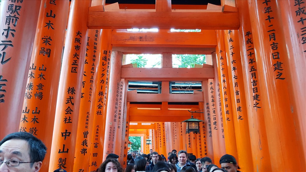 Đền Vạn cổng Fushimi-Inari-taisha ở cố đô Tokyo, Nhật Bản. Ảnh: Đ.D,H
