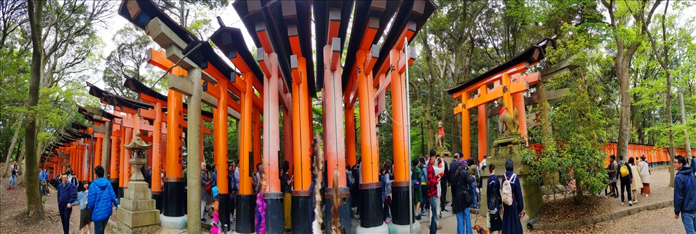 Đền Vạn cổng Fushimi-Inari-taisha ở cố đô Tokyo, Nhật Bản. Ảnh: Đ.D,H