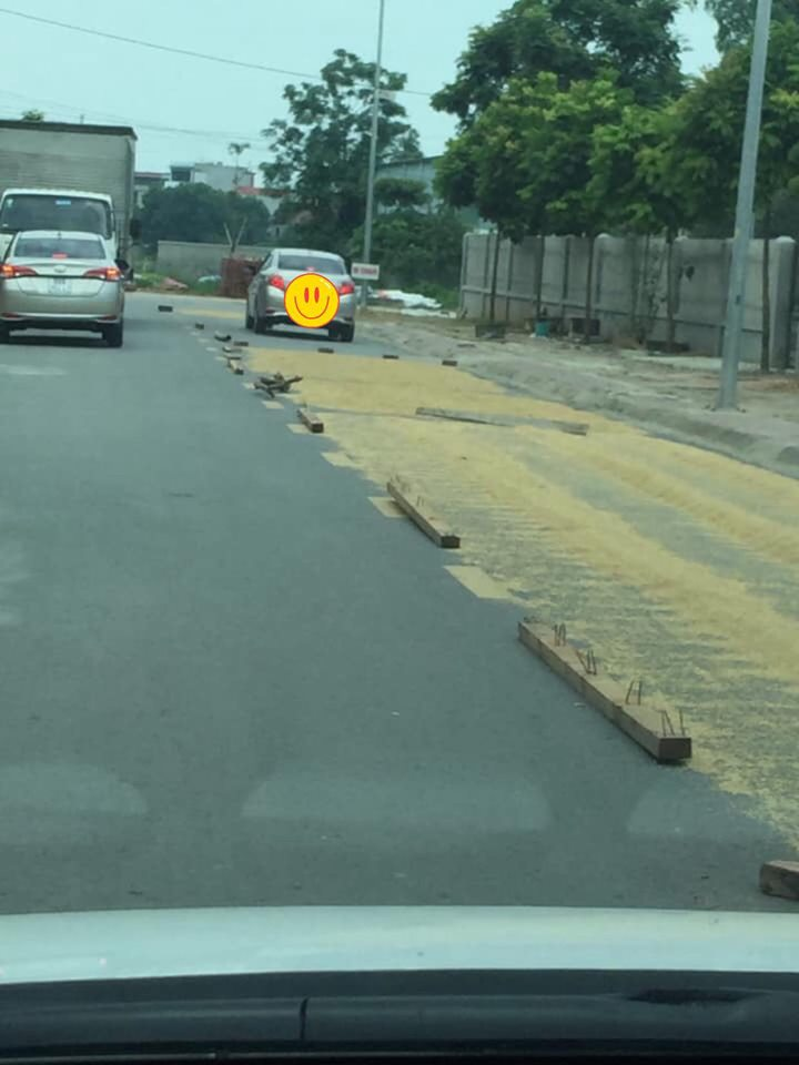 Phơi lúa ra đường, còn đóng đinh vào các khúc gỗ nhằm ngăn xe ô tô tại một tuyến đường gần thị xã Sơn Tây, Hà Nội. Ảnh: Taxi Sơn Tây.