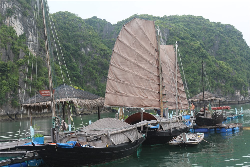 Thuyền buồm cổ của ngư dân làng chài. Ảnh: Nguyễn Hùng