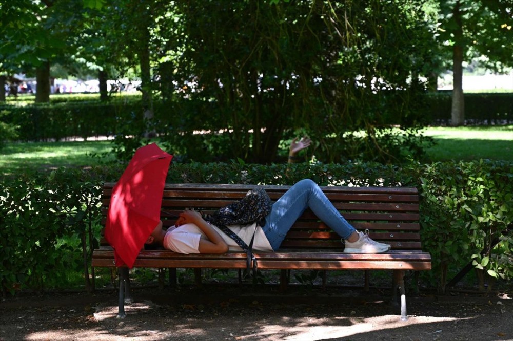 Một người phụ nữ nằm nghỉ trong công viên Retio, trung tâm Madrid. Ảnh: AFP.