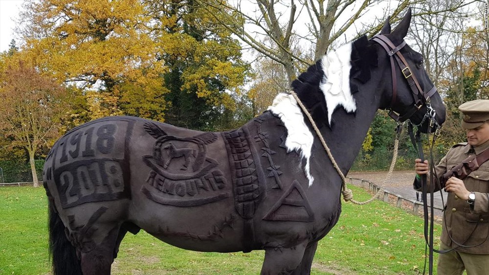 Tháng 11.2018, cô đã được mời cắt tỉa lông cho một chú ngựa nhân 100 năm kể từ khi kết thúc Chiến tranh thế giới I.