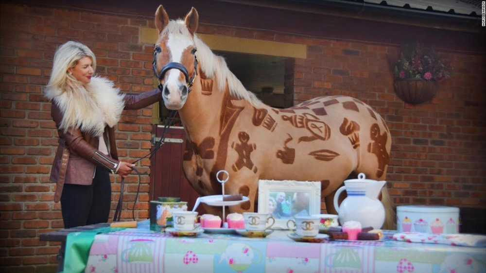 Melody Hames (30 tuổi, sinh sống ở Anh) đã kết hợp hai niềm đam mê của cô là nghệ thuật và ngựa để tạo ra các thiết kế nổi bật bằng cách tỉa lông cho ngựa.