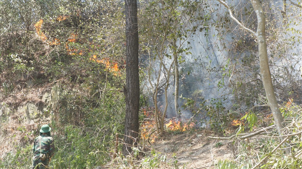 Một đám cháy rừng tiếp tục bùng phát, tiến sát nhà dân vào trưa nay (30.6). Ảnh: A.Đ
