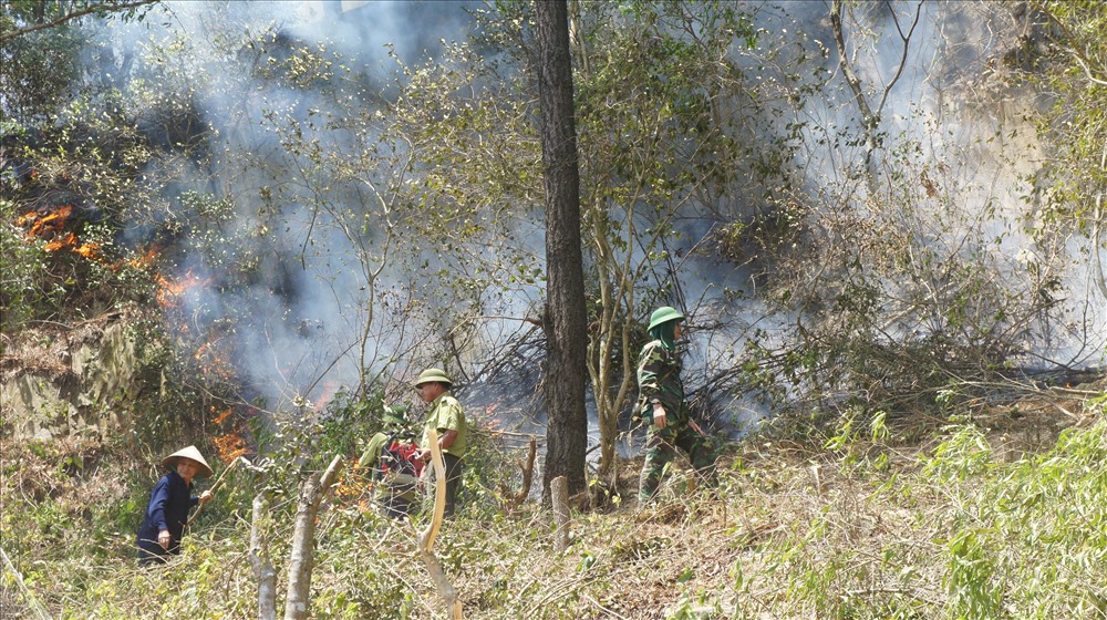 Một đám cháy rừng tiếp tục bùng phát, tiến sát nhà dân vào trưa nay (30.6). Ảnh: A.Đ