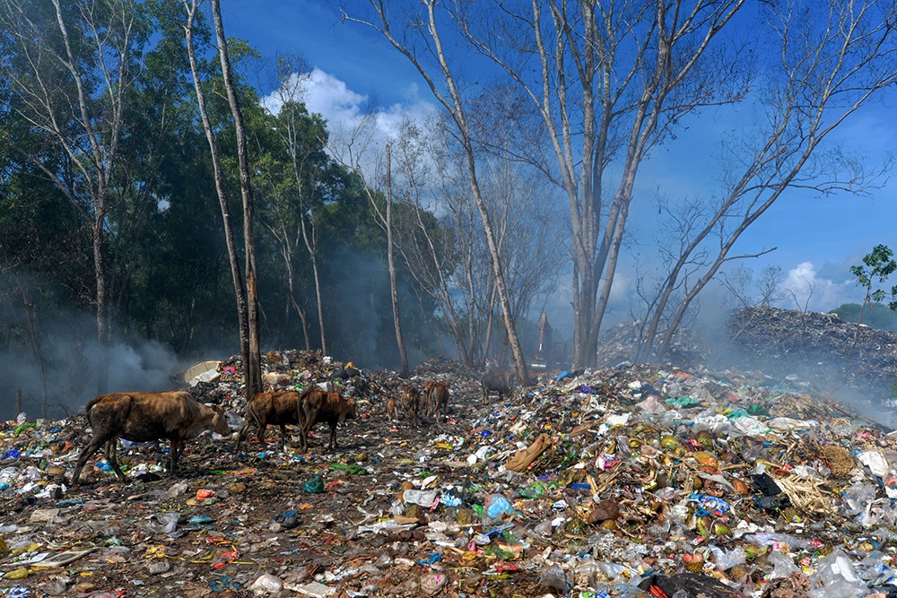 Một bãi rác ven đường ở Đảo Phú Quốc. Ảnh: Lê Mạnh Hùng.