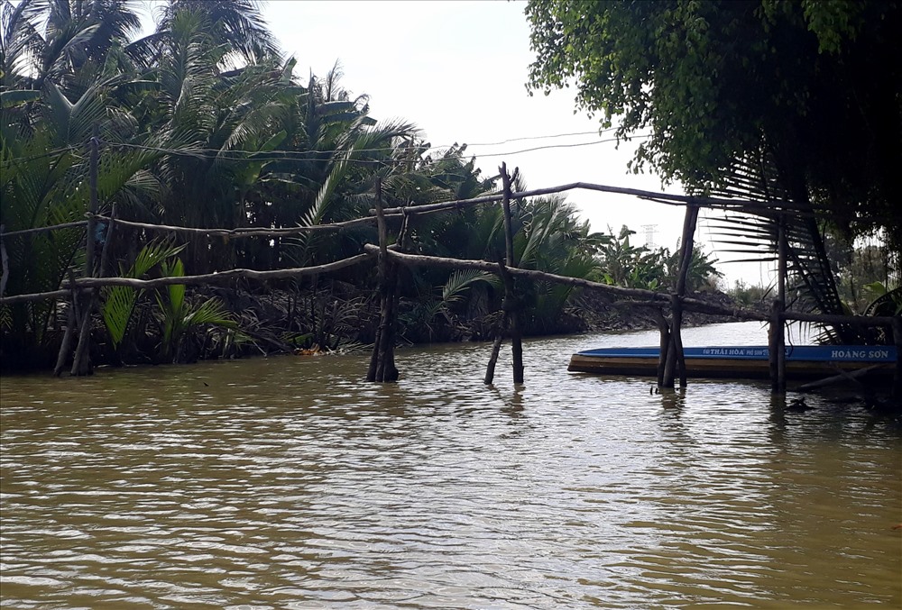 Tưởng rằng “Cầu khỉ”  đã xóa từ lâu, nhưng hiện tại nó là cách qua sông hàng ngày của nhiều người dân ở xã Phong Thạnh A, thị xã Giá Rai, Bạc Liêu (ảnh Nhật Hồ)