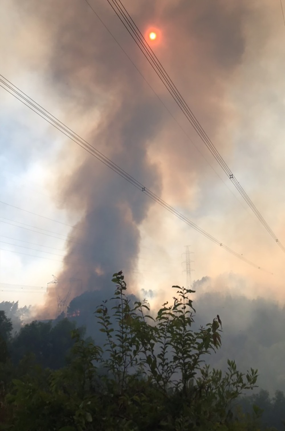 Cháy rừng gây nguy hiểm vận hành đường dây 500 kV. Ảnh: N.T