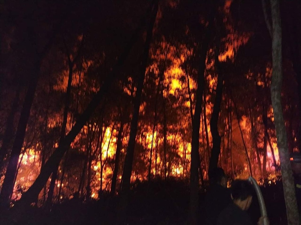 Vụ cháy rừng lớn nhất tại Hà Tĩnh từ trước tới nay. Ảnh: N.N
