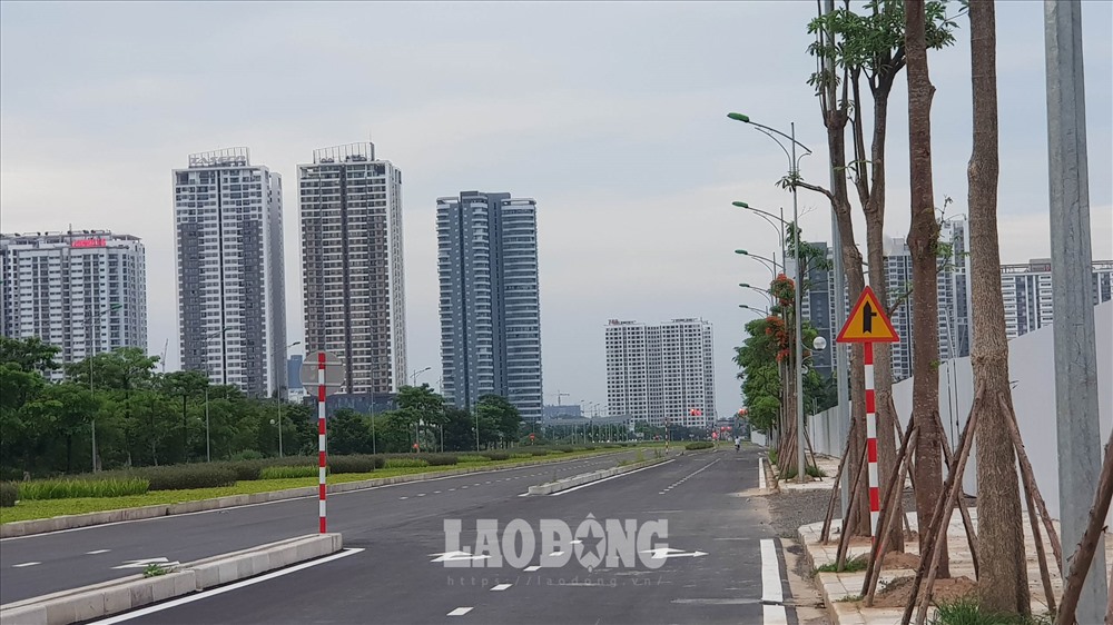 Cây xanh, điện chiếu sáng đã được hoàn thiện. Phần lớn cây xanh ở tuyến đường này là bàng lá nhỏ (bàng Đài Loan).