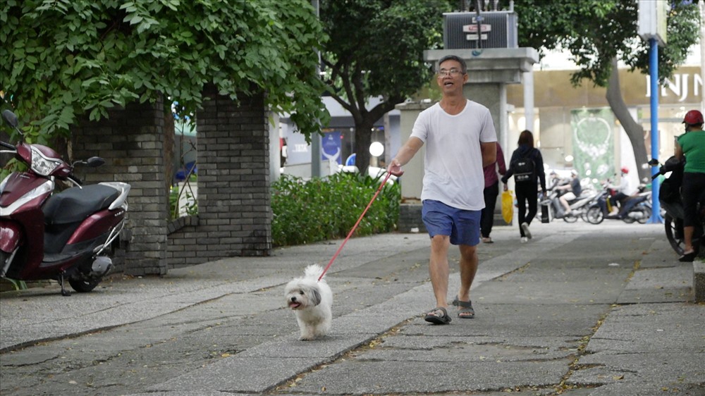 Dù có quy định xử phạt, nhưng một số ít người dân vẫn chưa chấp hành mà vẫn thả rông chó, không đeo rọ mõm cho chó ở CV Lê Văn Tám, quận 1