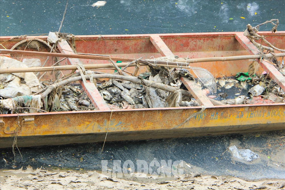 Một chiếc thuyền được nhân viên môi trường vớt lên nhiều cá chết và rác thải.