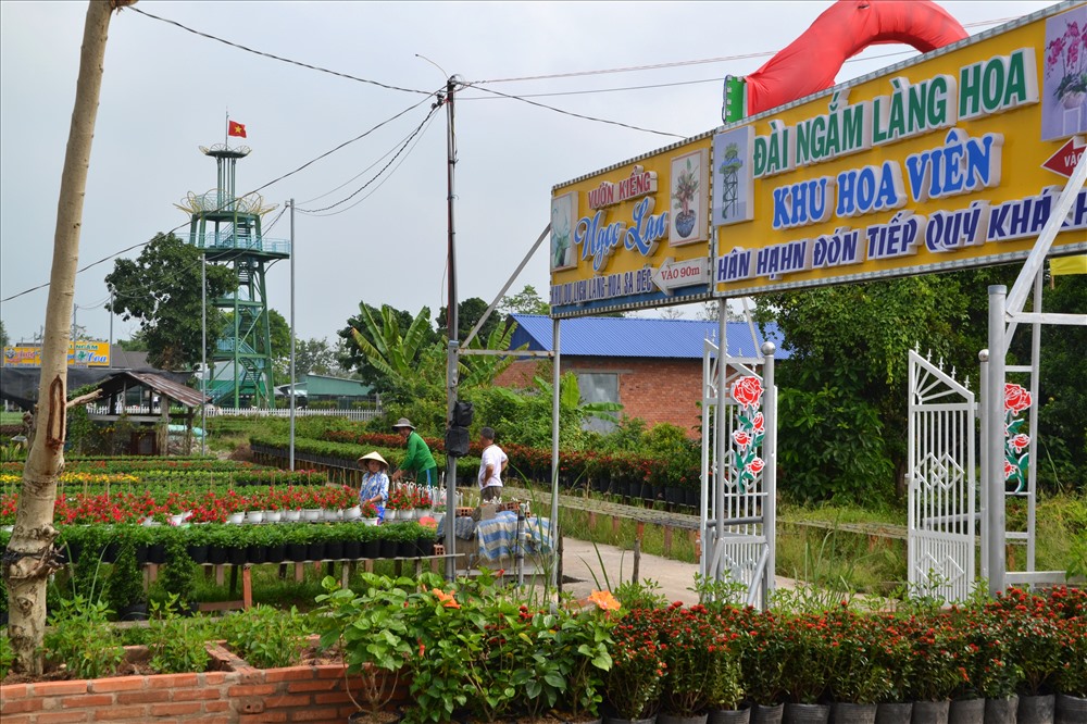 Nhiều doanh nghiệp trồng hoa ở Sa Đéc cũng bắt đầu rót vốn  đẩy mạnh du lịch. Ảnh: Lục Tùng