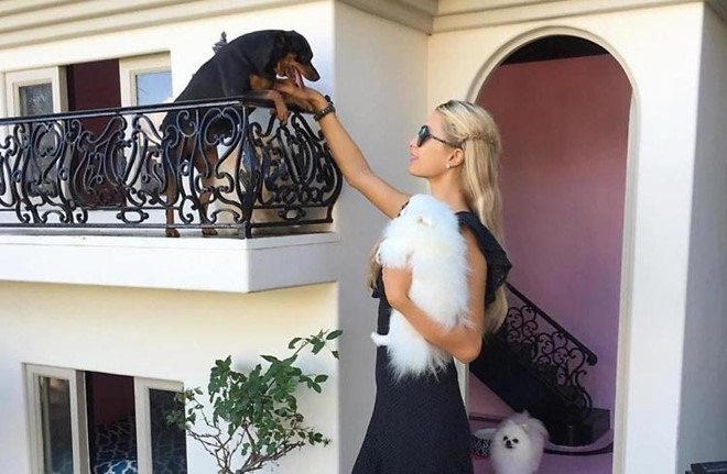 Paris Hilton mua biệt thự sang trọng giá 325.000 USD dành cho chó.