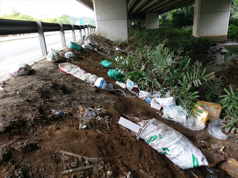 Các bao rác được vứt dọc gầm cầu Phú Mỹ.  Ảnh: M.Q