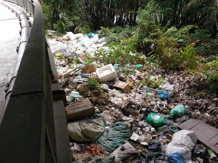 Đoạn gầm cầu Phú Mỹ thành nơi vứt rác.  Ảnh: M.Q