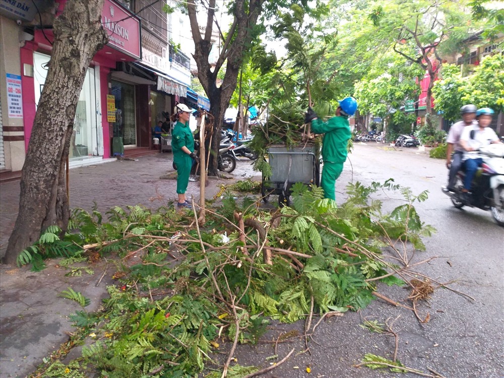 Công nhân môi trường dọn dẹp cây đổ sau bão