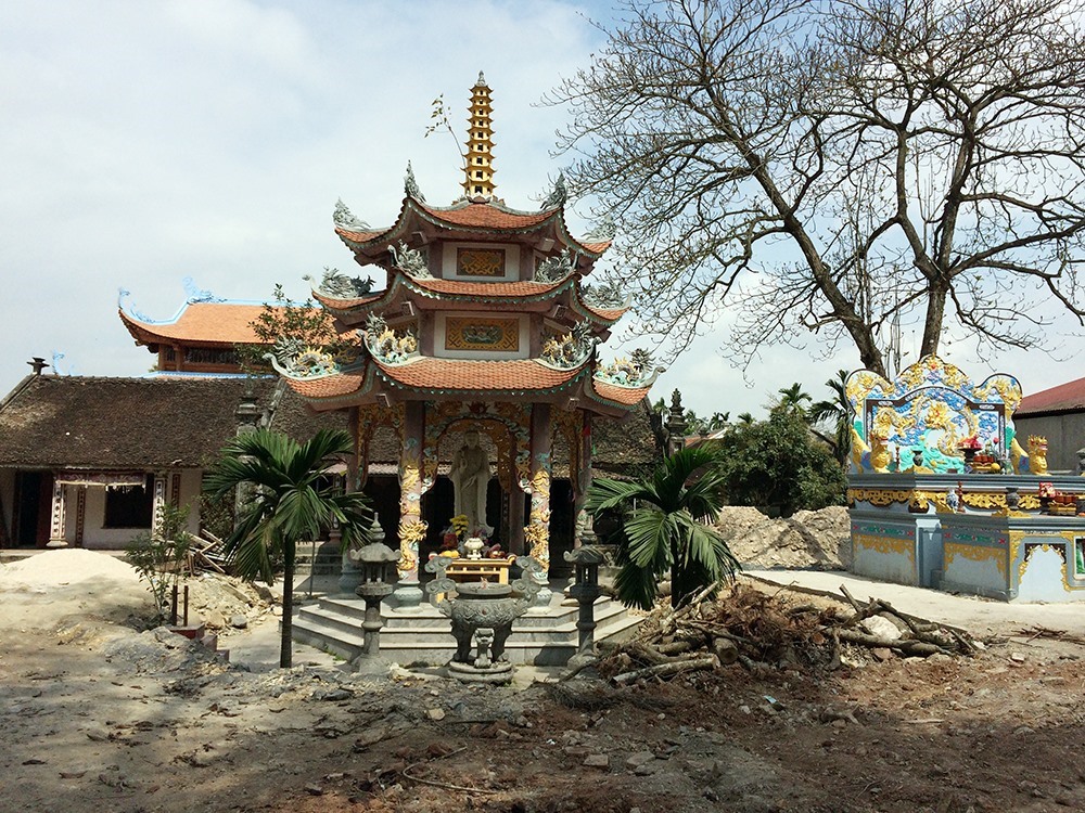 Quang cảnh ngổn ngang của ngôi Đình làng Phụ Chính, vị trí 2 cây sưa quý sau khi bị chặt hạ. Ảnh PV.