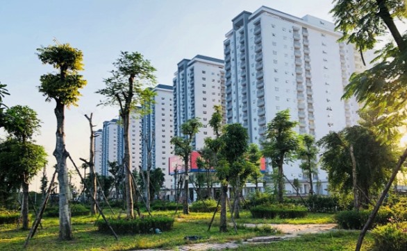 Một góc rừng cây tại khu đô thị Thanh Hà