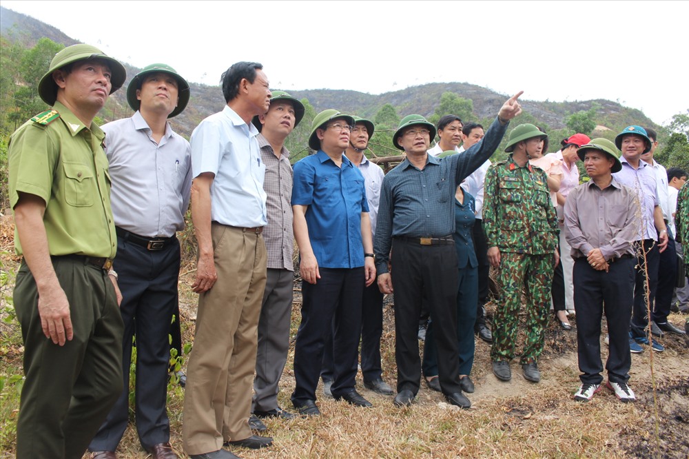 Phó thủ tướng Vương Đình Huệ về Hà Tĩnh thị sát tình hình chữa cháy rừng và động viên các lực thượng tham gia chữa cháy rừng vào ngày 1.7. Ảnh: A.Đ