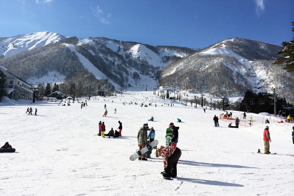 .japantravel