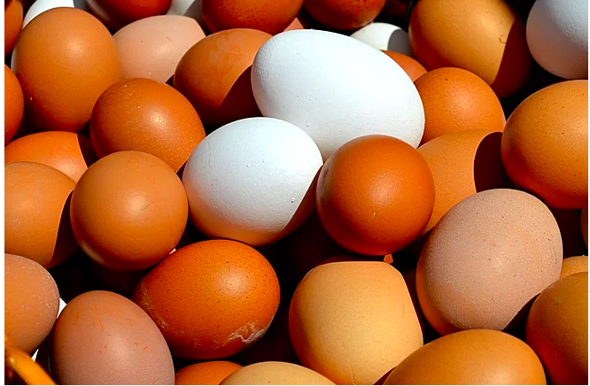 Niềm vui của các trang trại chăn nuôi gà đã ứng dụng chế phẩm sinh học  ATYTB  CÔNG TY TNHH MÔI TRƯỜNG VÀ DỊCH VỤ TMH