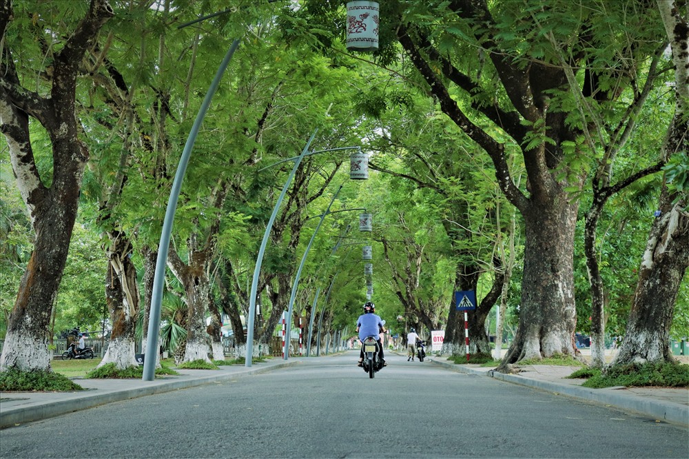 Sẽ là một thiếu sót nếu không kể đến con đường 23 tháng 8. Một con đường nhỏ nằm trước mặt Ngọ Môn. Con đường rợp bóng cây xanh này là nơi nghỉ chân cho du khách mỗi khi đến đây. Các cây xanh ở đây chủ yếu là Phượng vàng, mỗi khi đến mùa hoa, con đường lại ngập tràn sắc vàng.