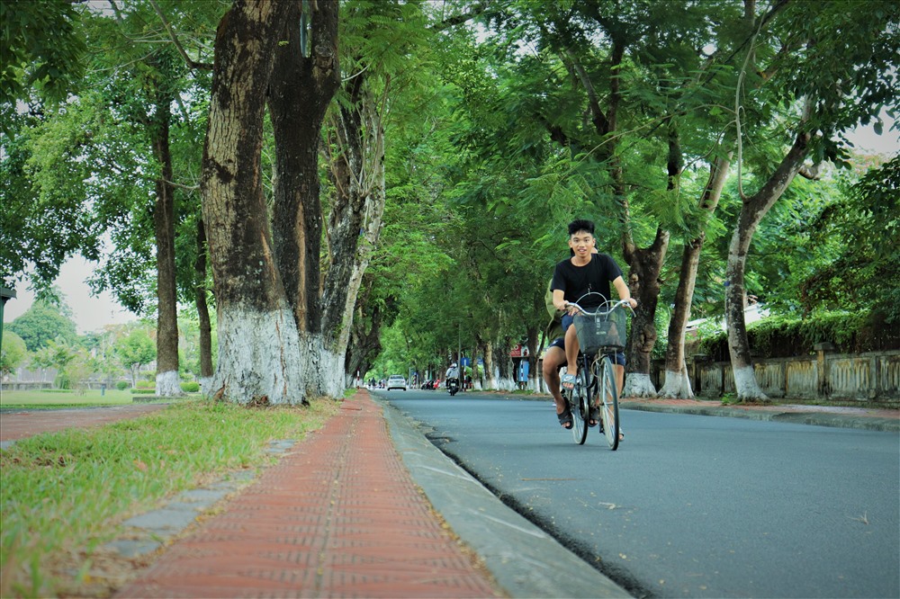 Đi dạo trên con đường này, ta có thể thả hồn mình cùng với thiên nhiên, cây cối cảnh vật xung quanh. Những con đường rợp bóng cây xanh luôn là địa điểm lý tưởng để người dân nơi đây có thể tìm đến và nghỉ ngơi trong những ngày hè oi ả.