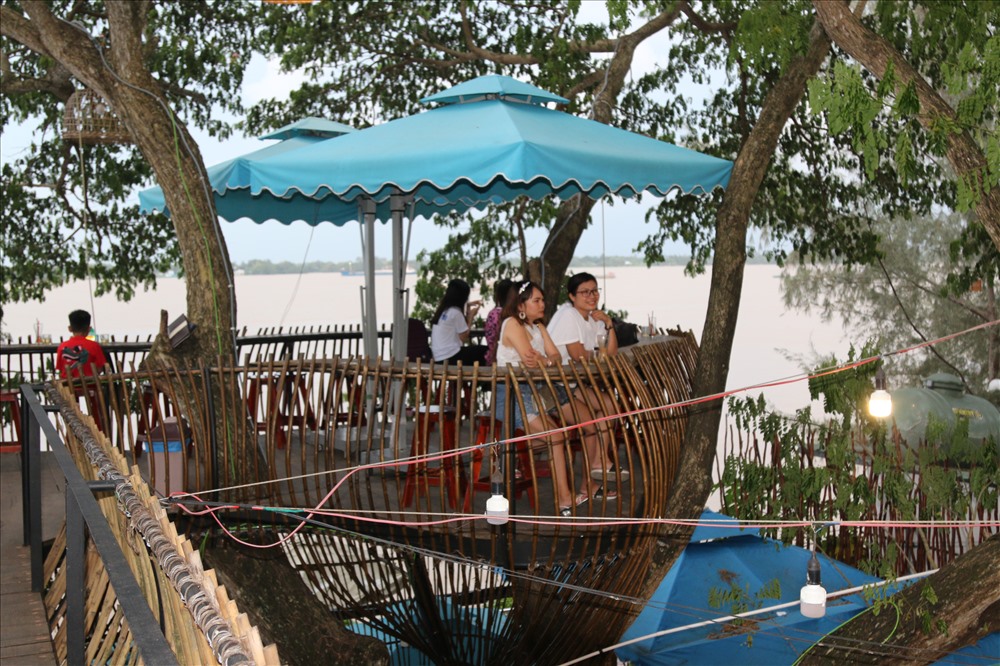 Thưởng thức nước uống và hóng gió trên cây cổ thụ. Ảnh: Thành Nhân