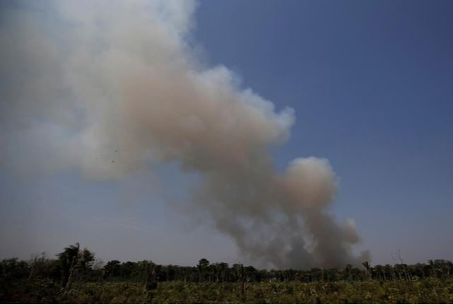 INPE cho biết có 72.843 vụ cháy, con số cao nhất kể từ khi bắt đầu có hồ sơ ghi lại năm 2013. Hơn 9.500 vụ cháy đã được ghi nhận từ vệ tinh kể từ thứ Năm tuần trước (15.8). Ảnh: Reuters.