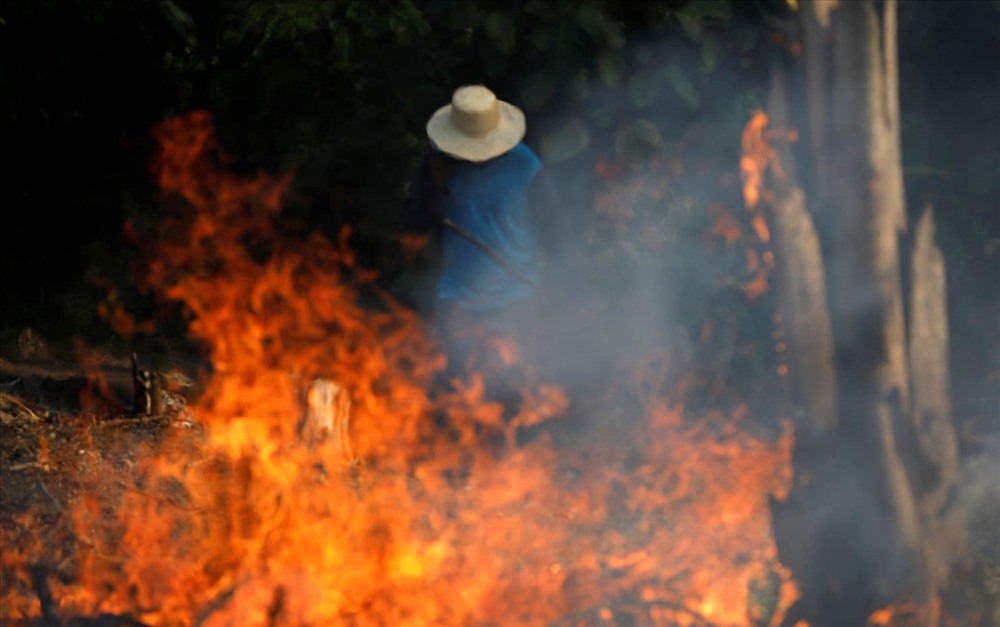 Một người dân đang ở khu rừng bị cháy ở Iranduba. Ảnh: Reuters.