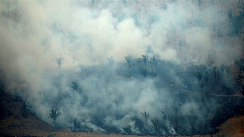 83%  Là sự gia tăng của các đám cháy riêng trong năm nay ở các khu vực rừng rậm Amazon ở Brazil, theo dữ liệu về tinh được Viện quốc gia về nghiên cứu không gian của Brazil công bố. Khói từ những đám cháy rừng có thể nhìn thấy từ khoảng cách 640km ngoài không gian.