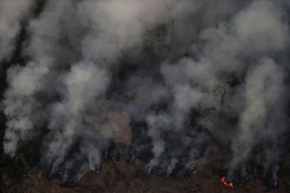 72.000: Số vụ cháy rừng từ đầu năm đến nay xảy ra ở toàn bộ Brazil, tính từ tháng 1 đến tháng 8. Ảnh: Sky News.