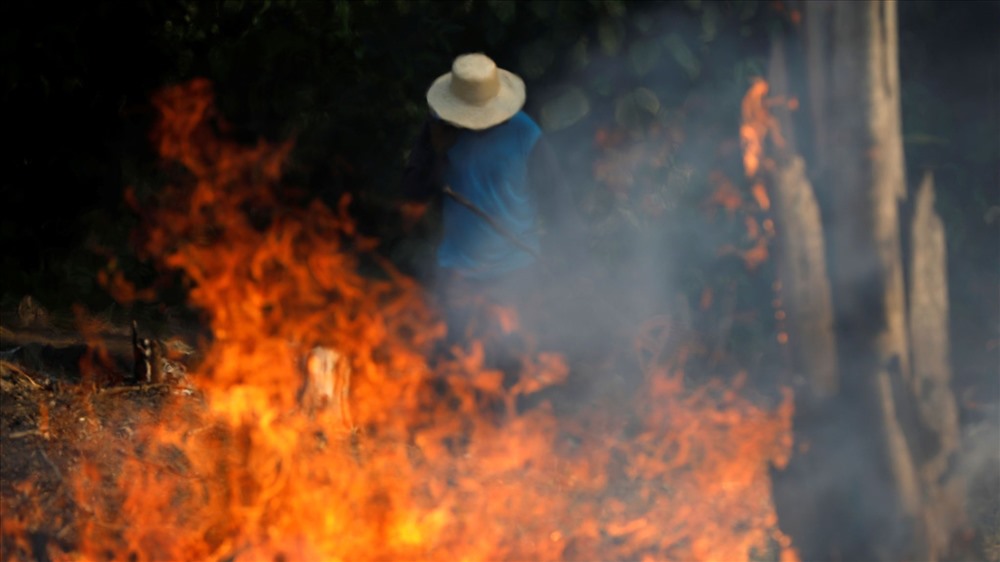 500.000 ha: Đây là số hectare rừng ở Bolivia đã bị thiêu rụi trong các vụ cháy rừng. Ảnh: Sky News.