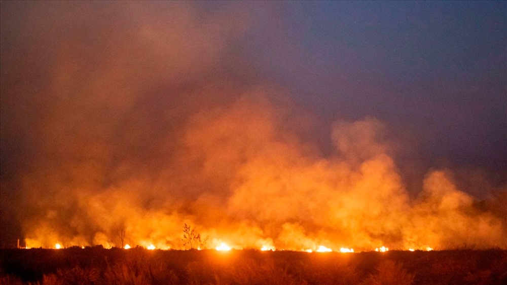40.000: Số vụ cháy rừng ở Brazil so với cùng kỳ năm 2018.