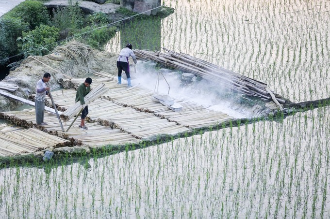 Tiếp đó, tre được ngâm trong hố nước vôi vài ngày để để đẩy nhanh quá trình phân hủy, thân cây được mềm ra.