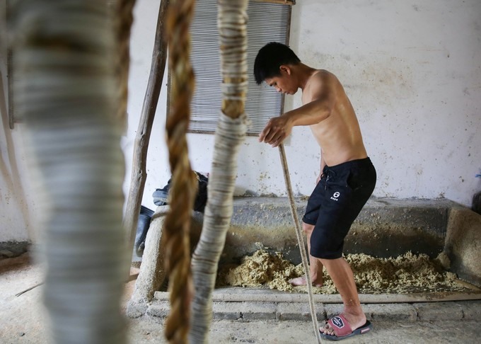 Tre được nghiền nát thành bột.