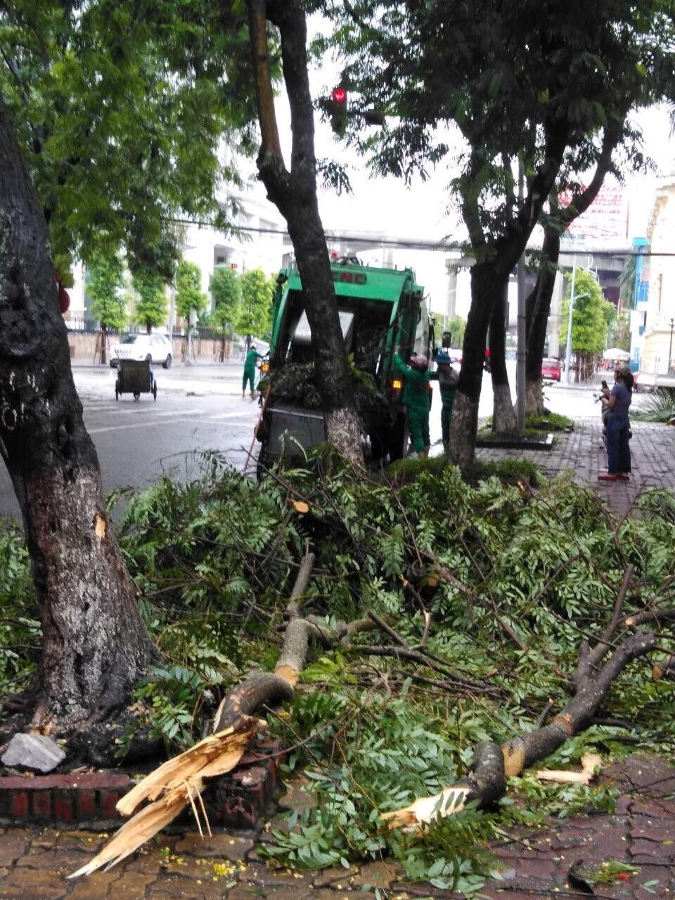 Nhiều cây đổ trên đường Lê Hồng Phong