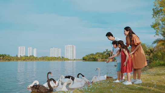 Ảnh chụp thực tế tại Công viên Hồ Thiên nga - Ecopark tháng 8.2019.