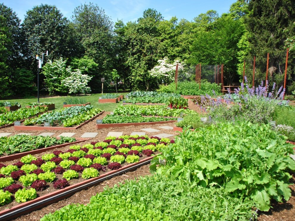 Vẻ đẹp siêu ảo của Colony Gardens - Nằm ở vùng ngoại ô Copenhagen.