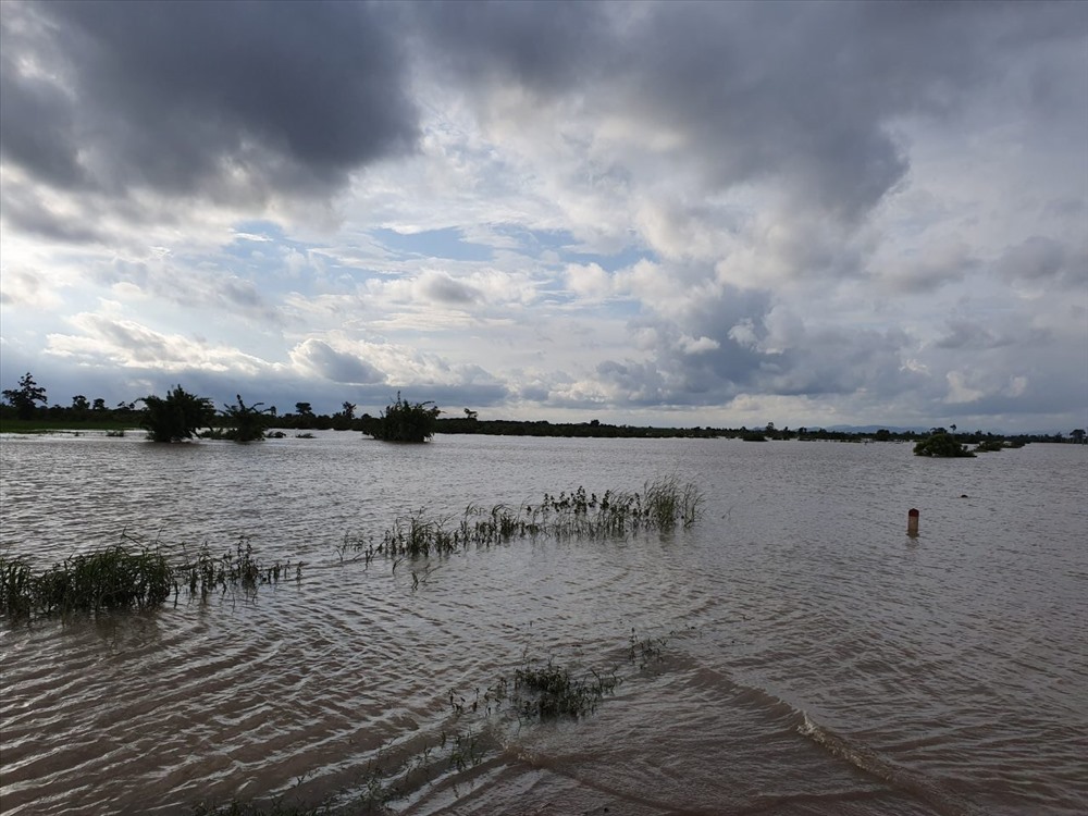 Nước ngập trắng đồng của người dân vùng lũ tỉnh Đắk Lắk. Ảnh: H.B