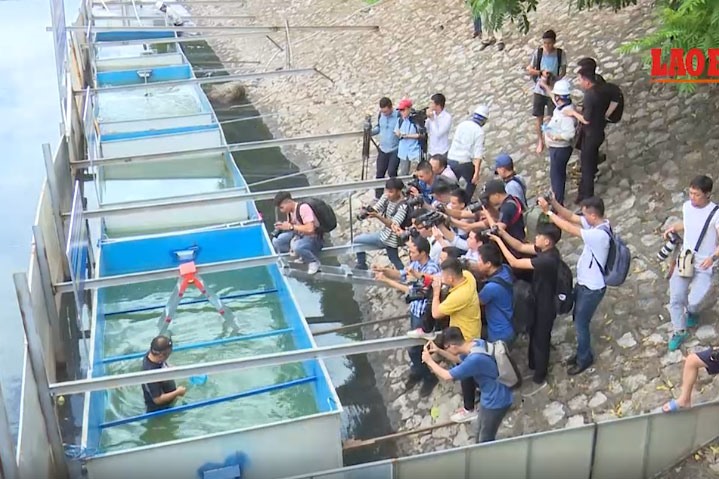 Chuyên gia Nhật Bản từng đích thân tắm tại đoạn thí điểm trước sự chứng kiến của đông đảo phóng viên.