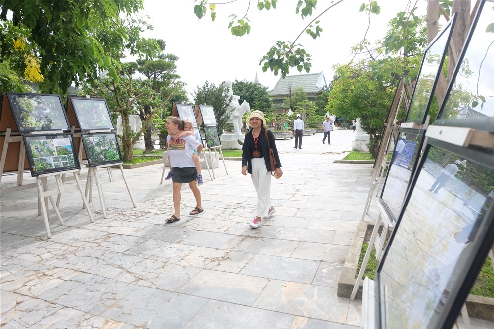 Triển lãm diễn ra từ ngày 10 đến hết ngày 14.9 tại khuôn viên chùa Linh Ứng, bán đảo Sơn Trà, TP Đà Nẵng.