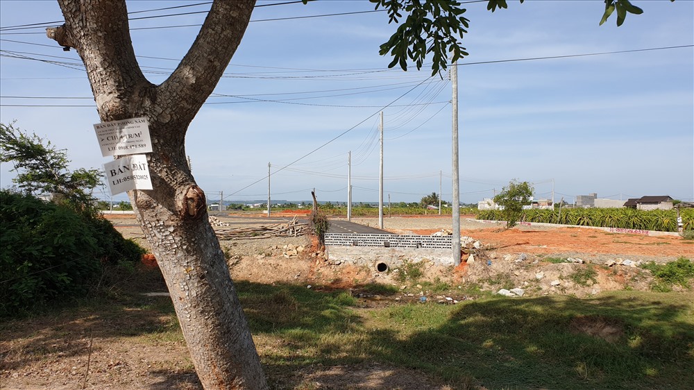 Một khu đất phân lô bán nền ở thành phố Phan Thiết_Ảnh: CTV