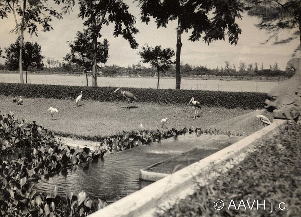 Lối lên cầu Trường Tiền năm 1936.