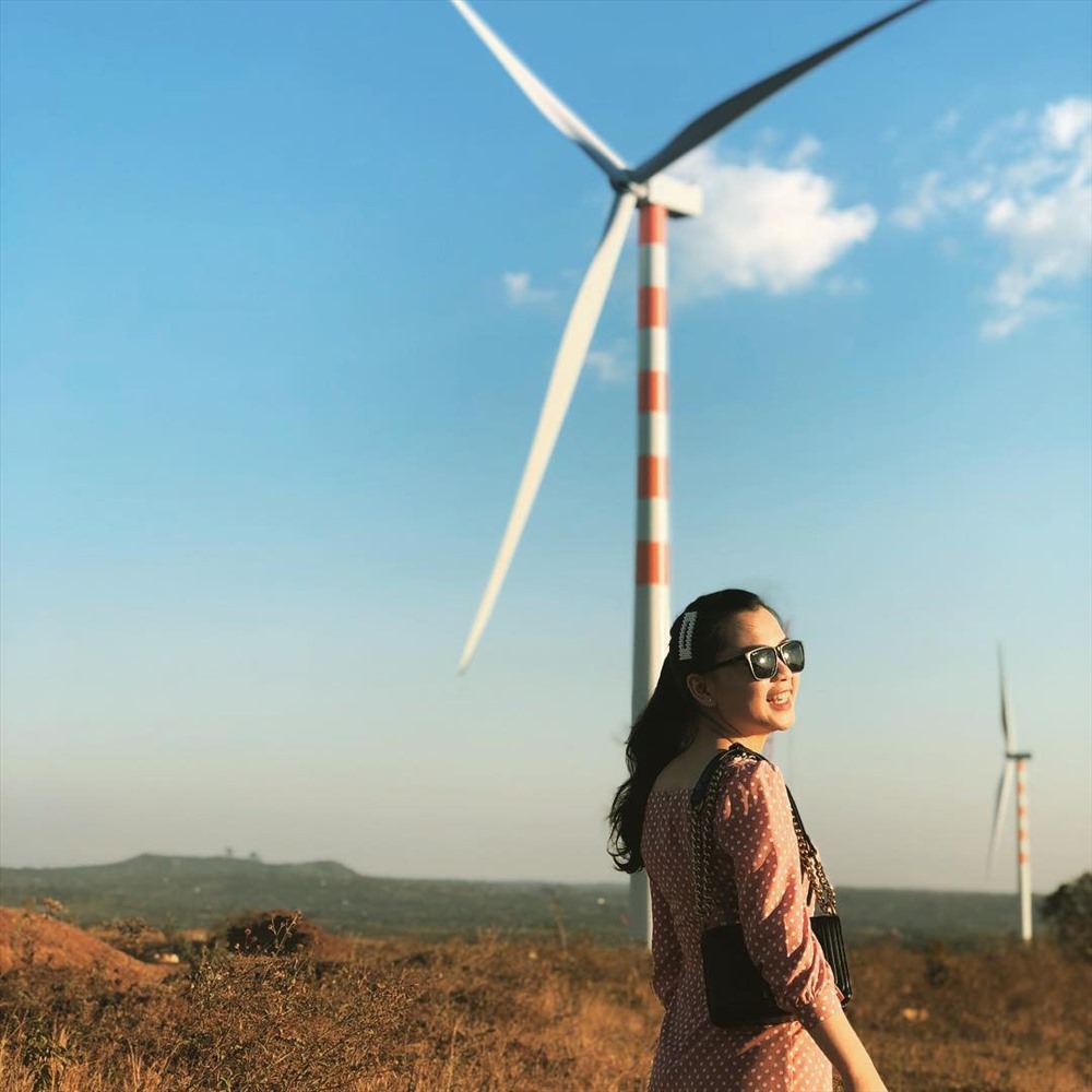 Dự án “Trang trại Phong điện Tây Nguyên” do Công ty Giải pháp năng lượng gió HBRE (HBRE Wind Power Solution) làm chủ đầu tư với tổng công suất thiết kế là 120 MW, tổng mức đầu tư khoảng 6.000 tỷ đồng. Cánh đồng quạt gió này chính là Nhà máy điện gió Dlieyang tọa lạc tại xã Dlieyang, huyện Ea H’leo, tỉnh Đắk Lắk.