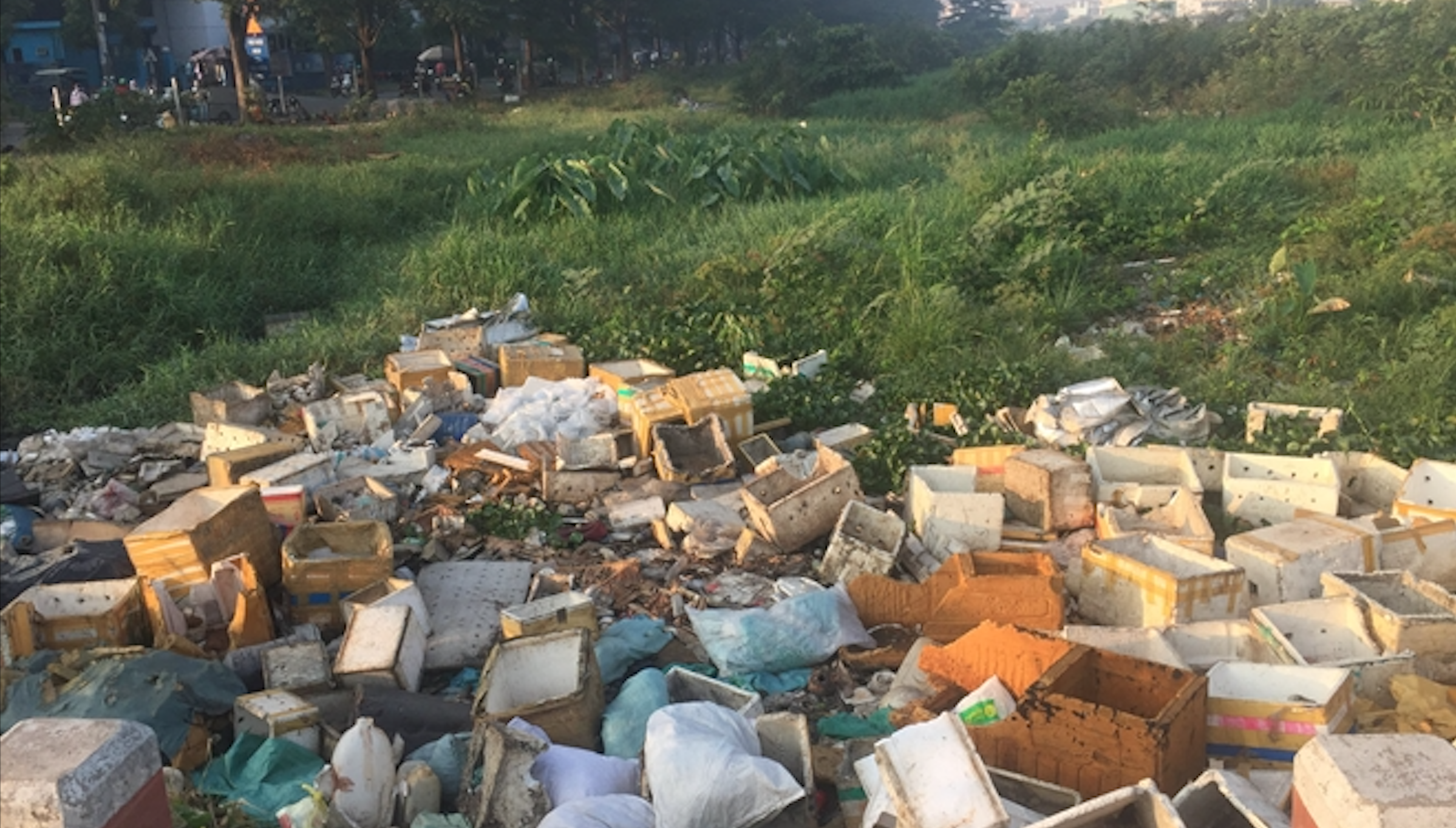 Rất nhiều rác thải, bốc mùi hôi thối tại con rạch xã Vĩnh Lộc A (huyện Bình Chánh). Ảnh TK.