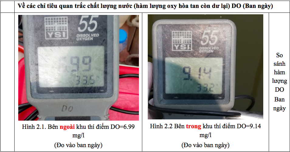 Hình ảnh đo thực tế tại hiện trường (Ban ngày: Tảo quang hợp lấy CO2, nhả oxy).