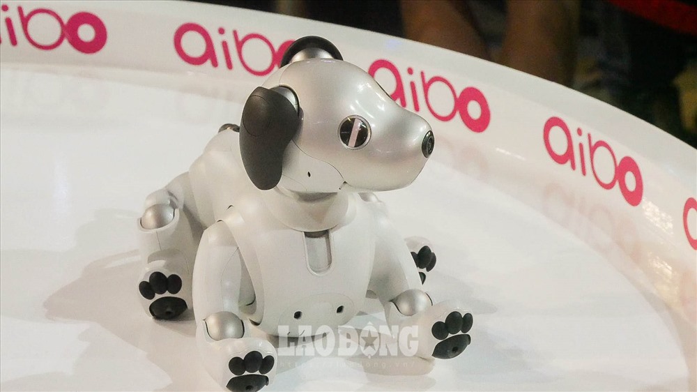 Aibo được trang bị 2 camera, một ở mũi và một ở phía trên đuôi, đồng thời có một loạt các cảm biến xung quanh cơ thể và nó có hệ thống nhận biết sáu trục cho phần đầu và thân. Vì vậy, người dùng có thể tương tác với Aibo thông qua các động chạm, vuốt ve trực tiếp lên phần lưng của chú chó này.